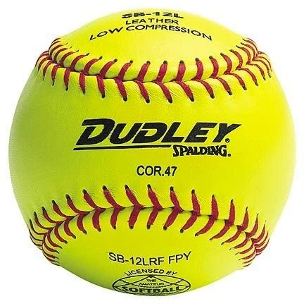 DUDLEY SPORTS Dudley WIAA Yellow SBs - Doz